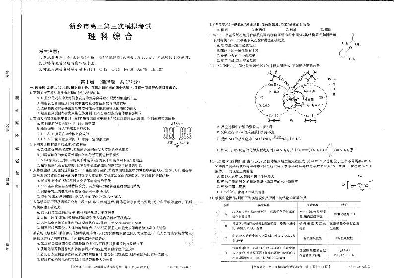 河南省新乡市2021届高三下学期4月第三次模拟调研考试理综试题 扫描版含答案01