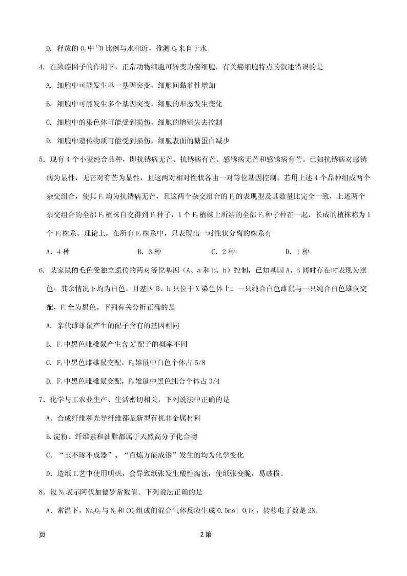 2019届江西省南昌市第二中学高三上学期第四次月考理科综合试题 PDF版第2页