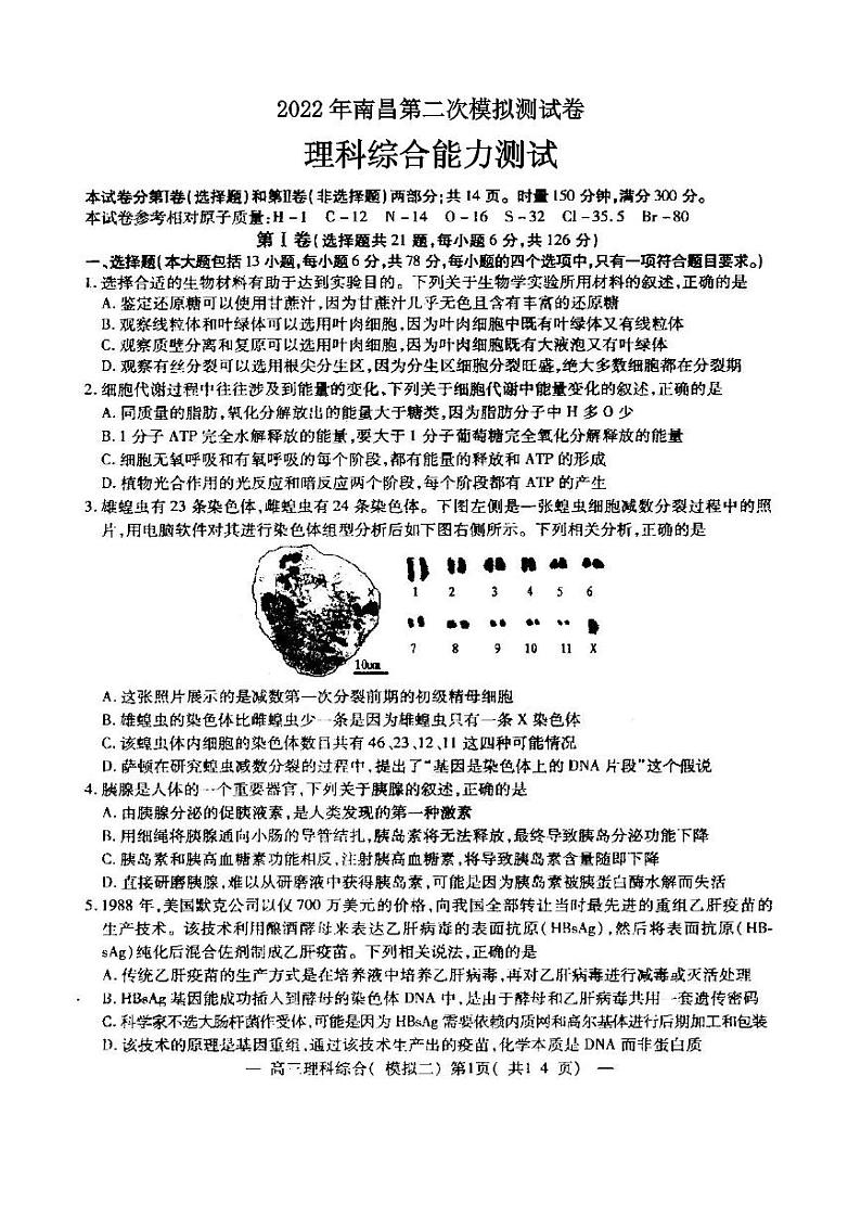2022年南昌市第二次模拟测试理科综合试卷含答案(南昌二模)01