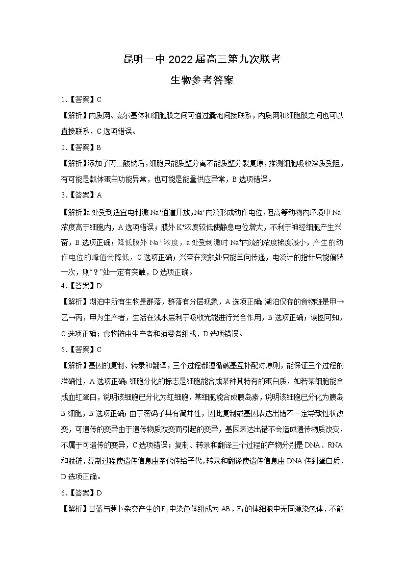 云南省昆明市第一中学2021-2022学年高三第九次考前适应性训练理综试题及答案01