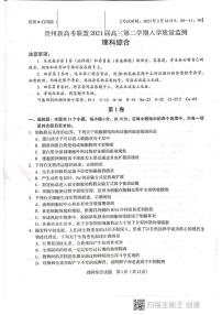 2021届贵州省新高考联盟高三下学期入学质量监测理科综合试题 PDF版