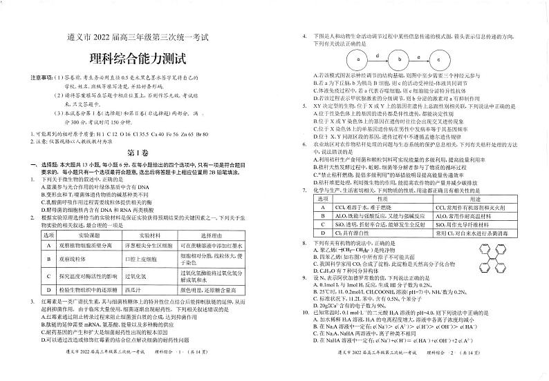 2022遵义高三第三次统一考试(遵义三模)理科综合试题无答案第1页