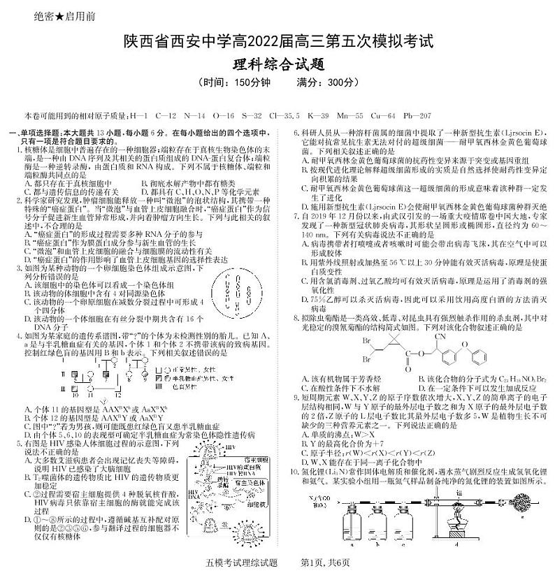 2022西安中学高三第五次模拟考试理科综合试题PDF含答案01