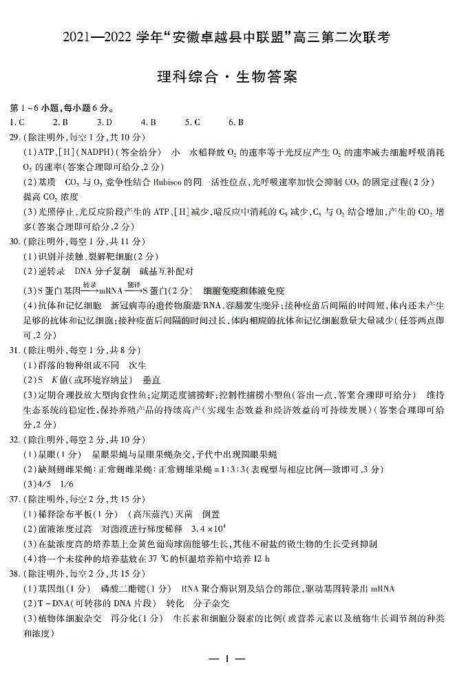 理综简易答案第1页