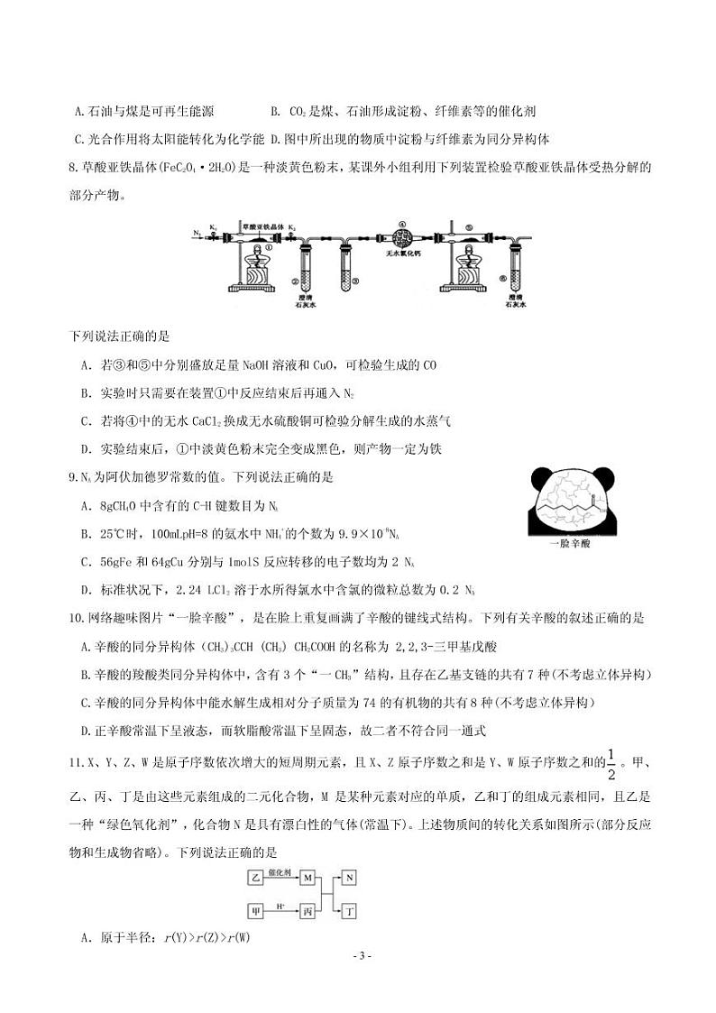 2019届河北省唐山市第一中学高三下学期冲刺(五)(仿真模拟)理科综合试题(PDF版)第3页