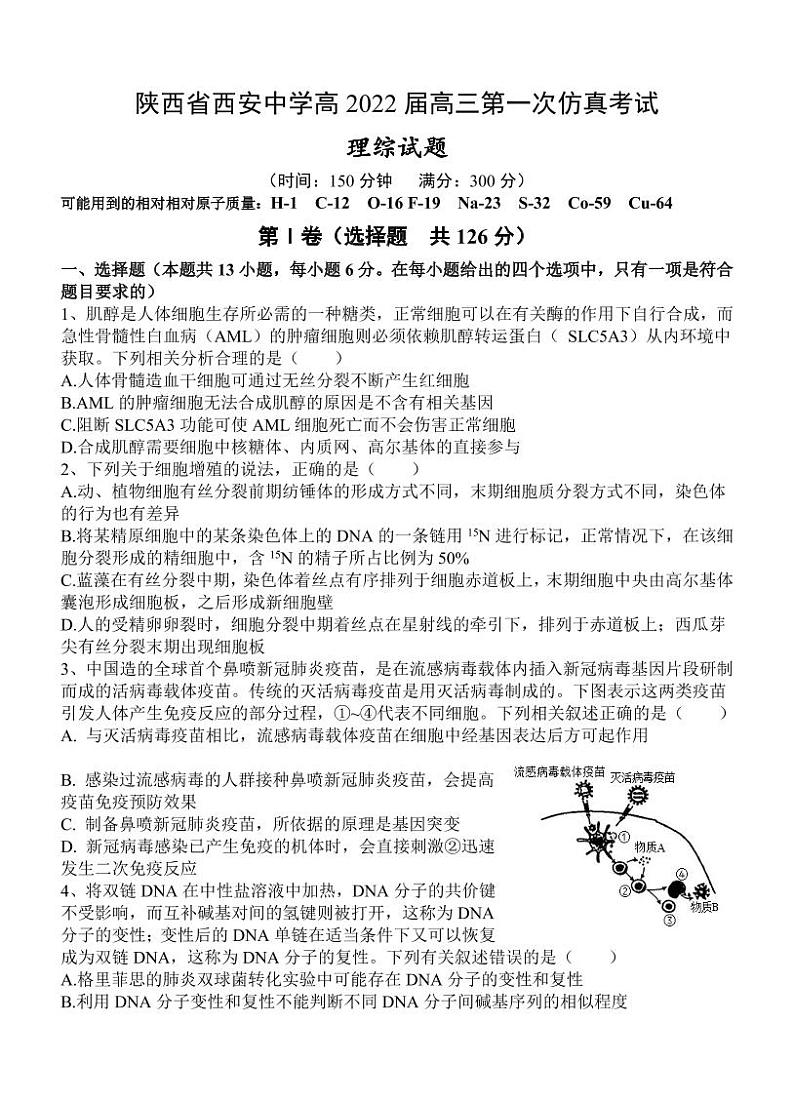 2022西安中学高三五月全仿真模拟考试(一)理综01