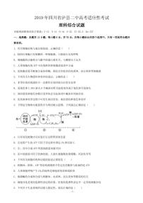 2019届四川省泸县第二中学高三高考适应性考试理科综合试题（PDF版）