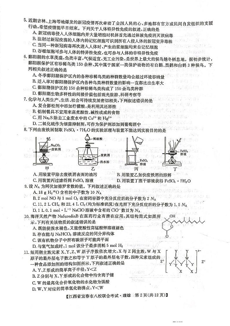 2022年江西省宜春市八校5月联合考试 理综试题及答案第2页