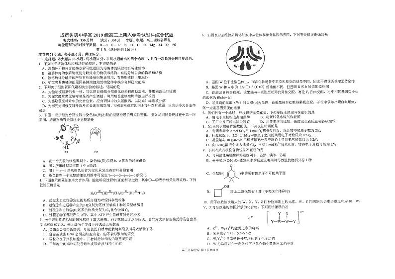 2022成都树德中学高三上学期入学考试理综试题PDF版含答案01