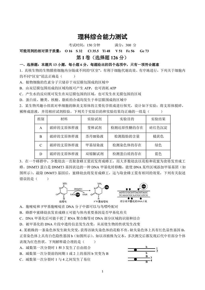 2021郑州中牟县一中高三全真模拟(四)考试理科综合试题PDF版含答案第1页