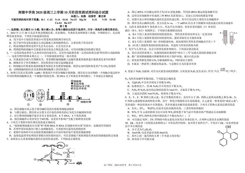 2023届四川省树德中学高三上学期10月阶段性测试 理综 PDF版第1页