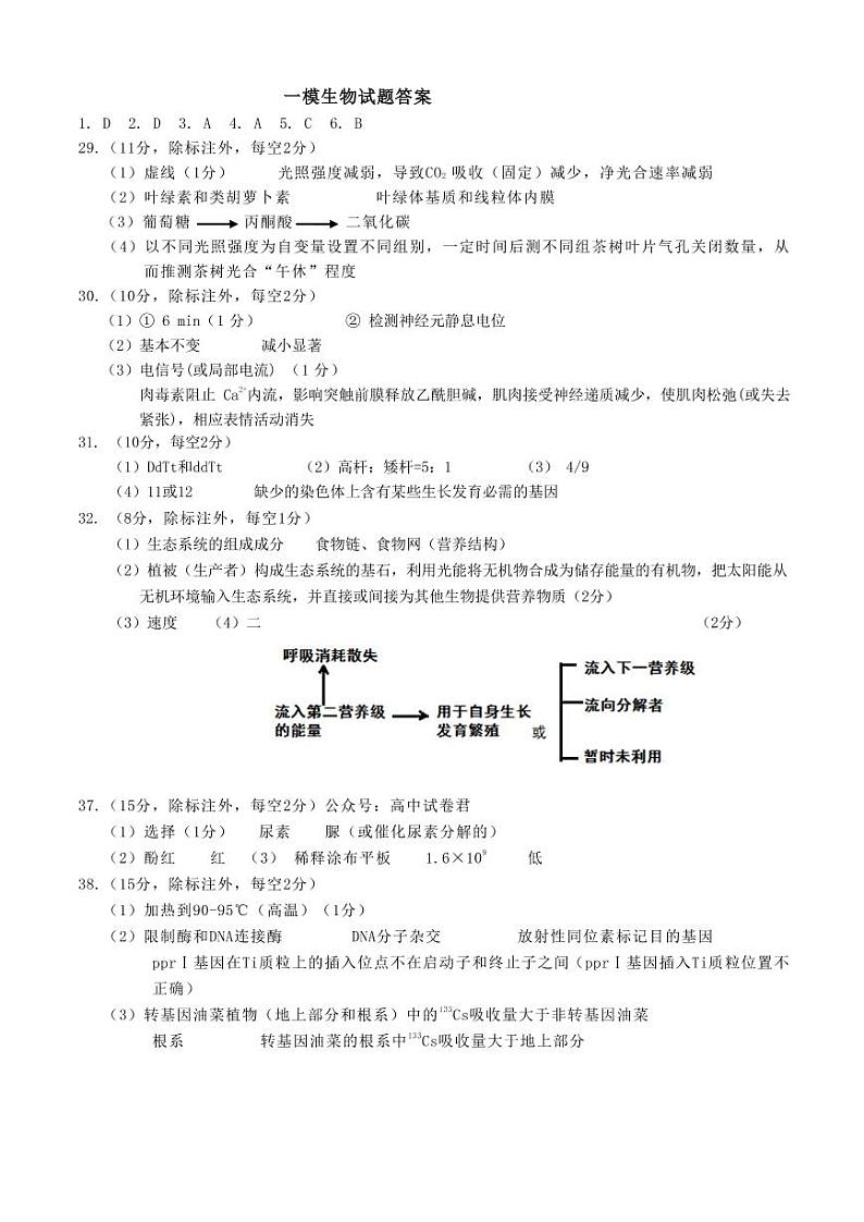 2023西安西北工业大学附中高三上学期第一次适应性训练理综PDF版含答案(可编辑)01