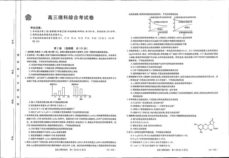 2023云南省高三上学期10月联考理综试题扫描版含解析01