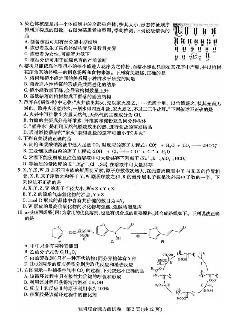 2021东北三省三校高三下学期4月第二次联合考试理科综合试题PDF版含答案第2页