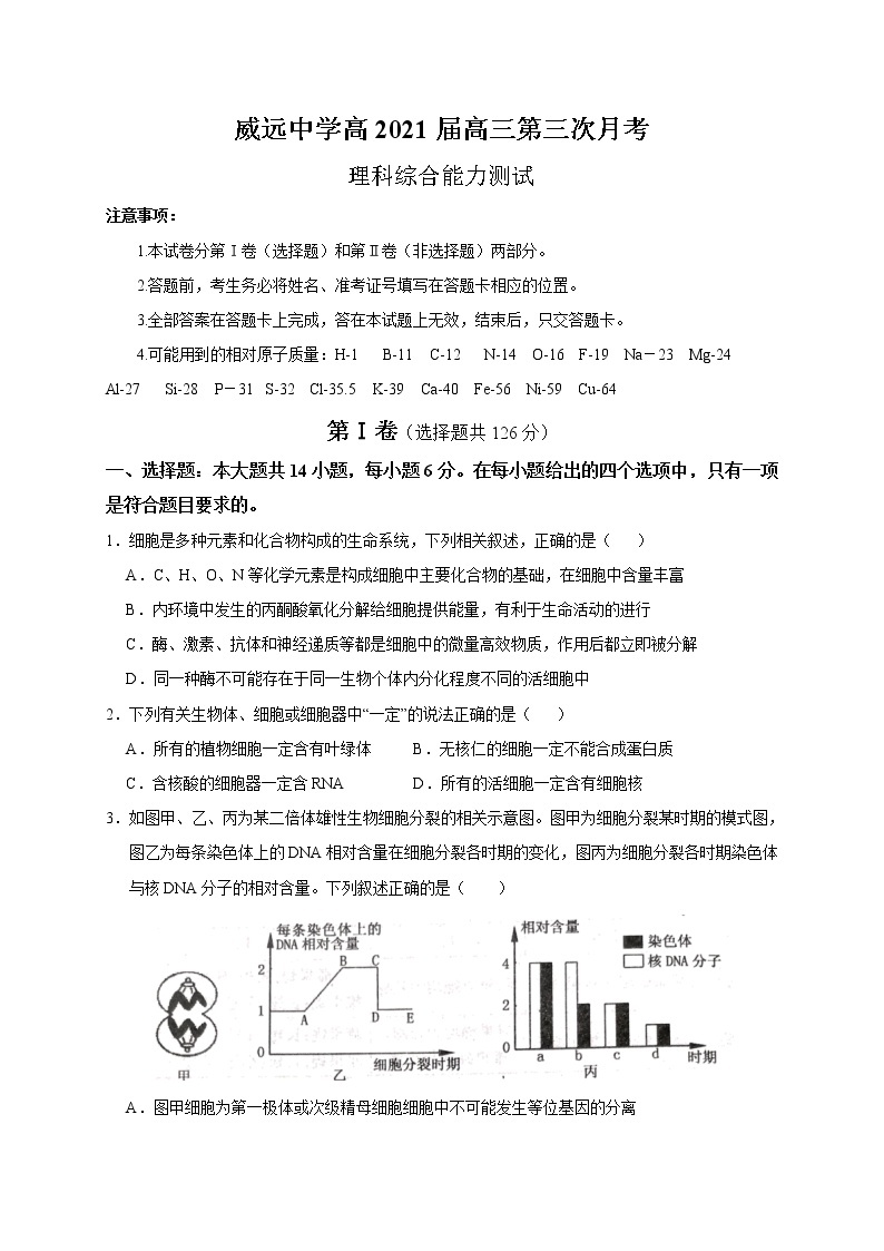 2021内江威远中学高三上学期12月月考理科综合试题含答案01