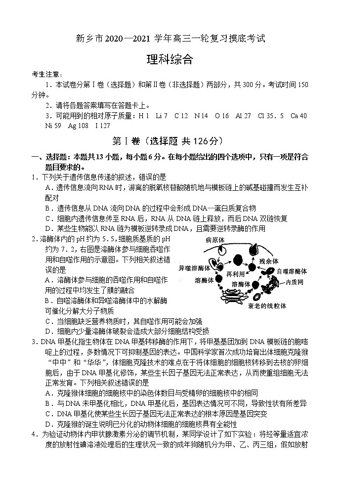 2021新乡高三2月一轮复习摸底考试理综试题含答案01