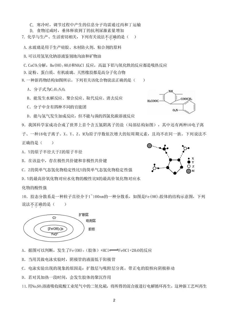 黑龙江省大庆实验中学2020届高三综合训练(四)理科综合试题第2页