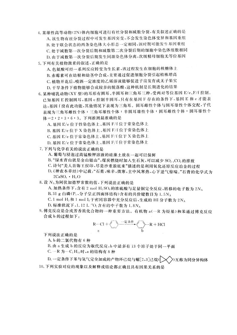2020静宁县一中高三第四次模拟考试理科综合试题扫描版含答案第2页