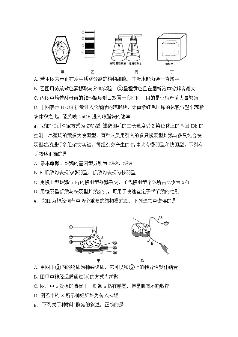 2020西安中学高三第八次模拟考试理科综合试题含答案第2页