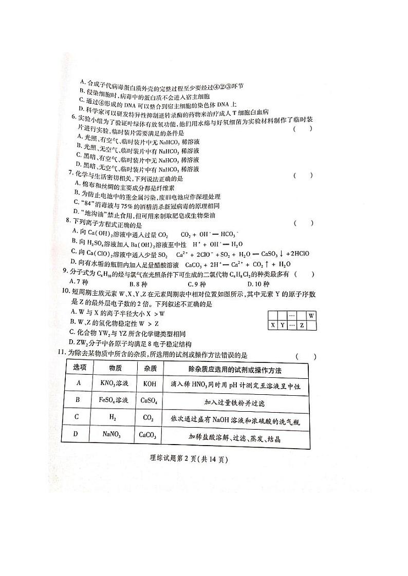 2020陕西省高三第三次教学质量检测理科综合试题PDF版含答案02