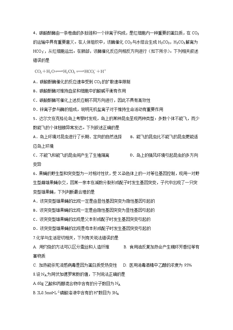 2020四川省棠湖中学高三下学期第四学月考试理科综合试题含答案02