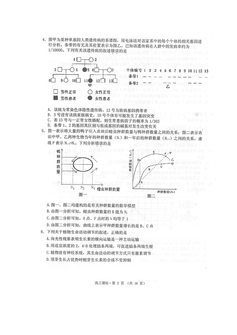 2020黄山高三下学期第二次质量检测理科综合试题扫描版含答案第2页