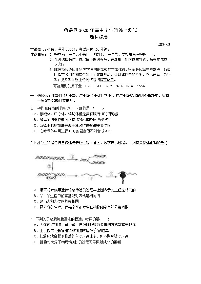 2020广州番禺区高三3月线上检测理科综合试题缺答案01