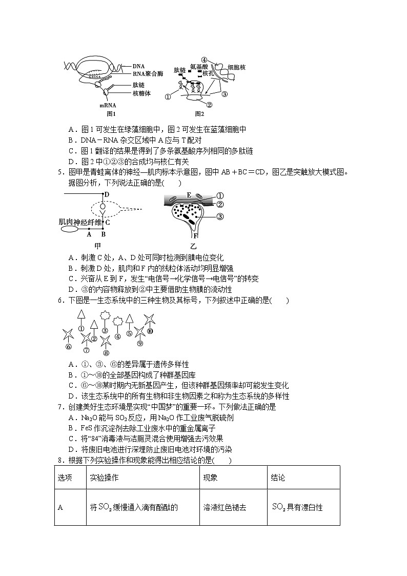 2020福清高三下学期3月“线上教学”质量检测理科综合含答案第2页