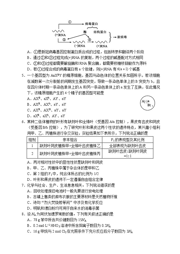 蓉城名校联盟2020级高三第一次联考理科综合能力测试试题第2页