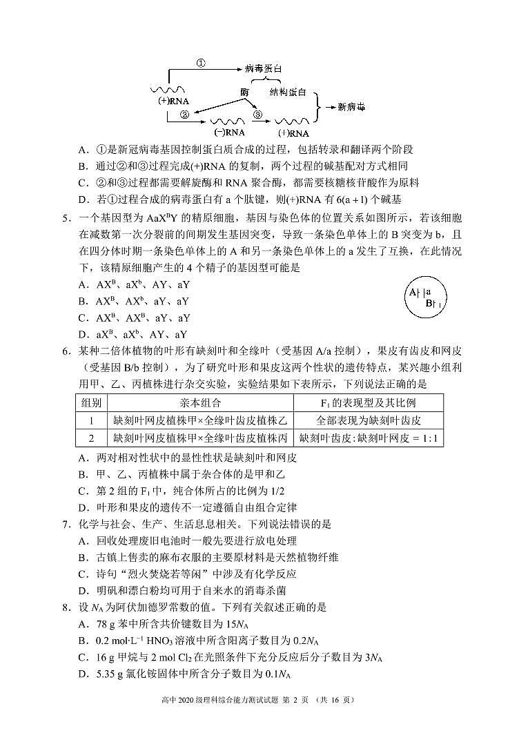 蓉城名校联盟2020级高三第一次联考理科综合能力测试试题第2页
