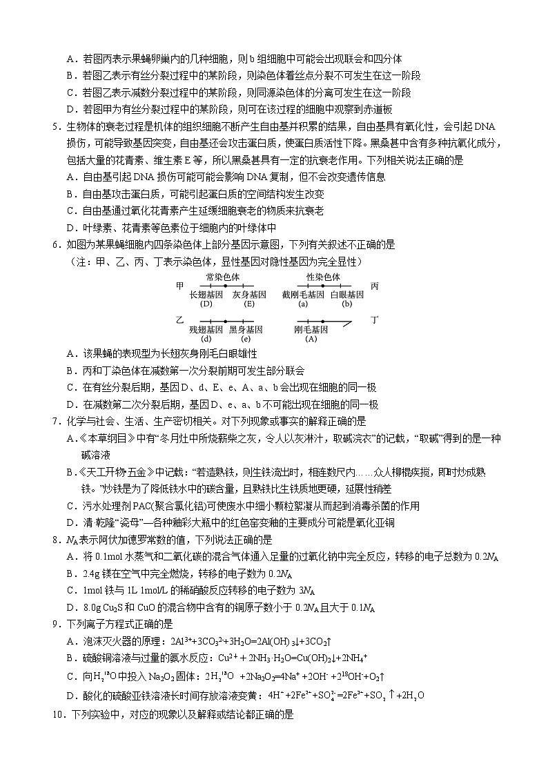 2023届宁夏银川一中高三上学期第二次月考理综试题第2页