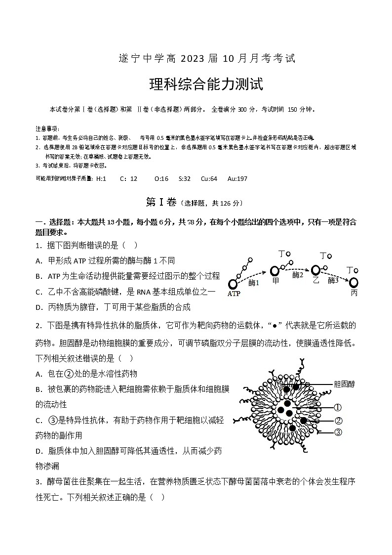 2023遂宁中学高三上学期10月月考试题理科综合含解析01