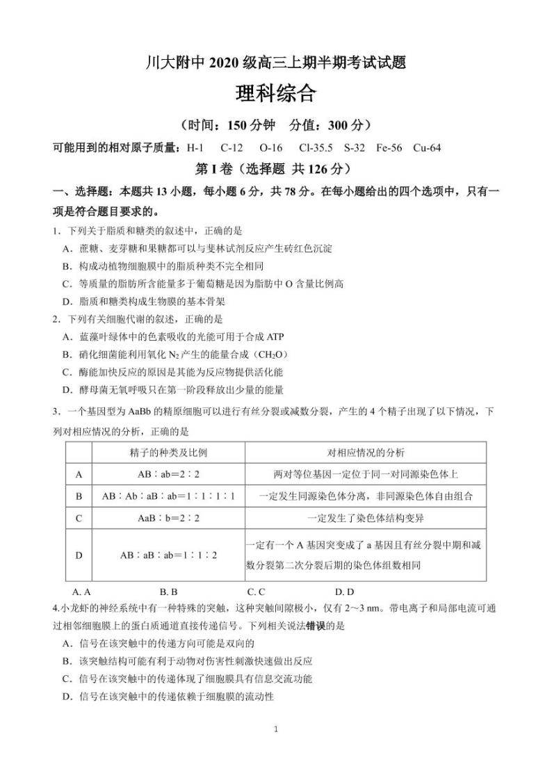 2023四川师大附中高三上学期期中考试理综试题PDF版无答案（可编辑）01