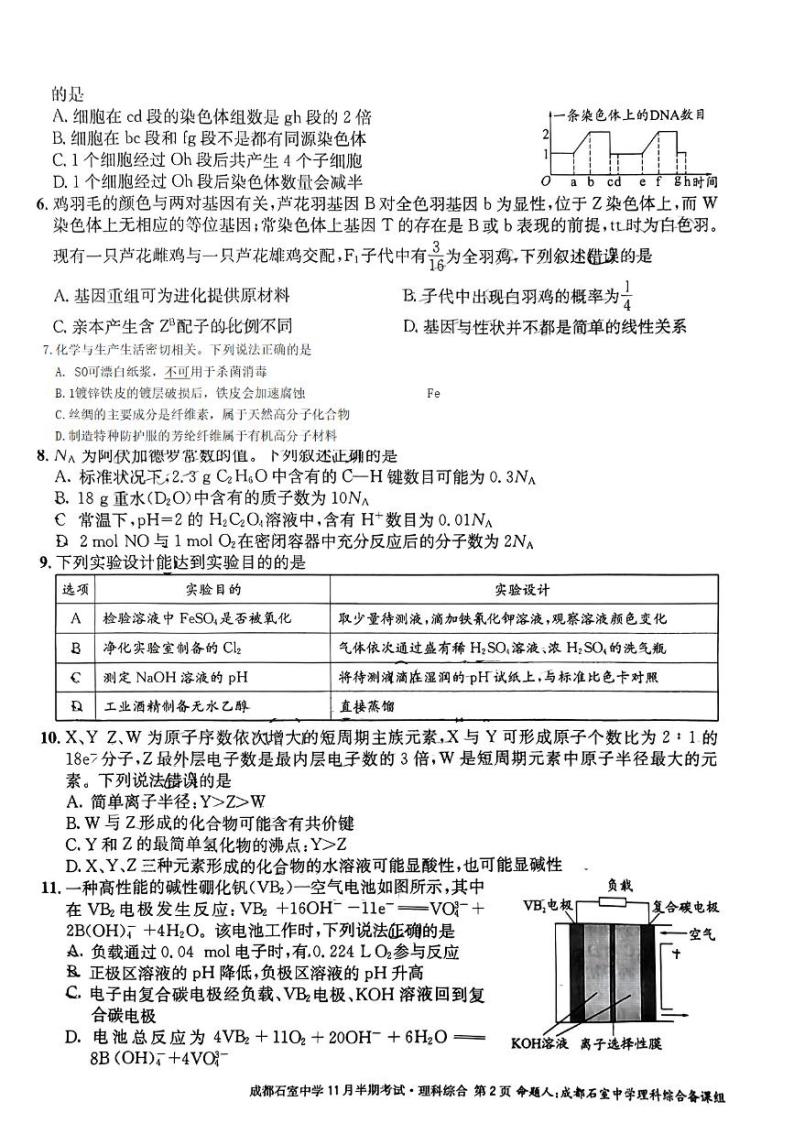 2023成都石室中学高三上学期11月期中考试理综PDF版含解析02