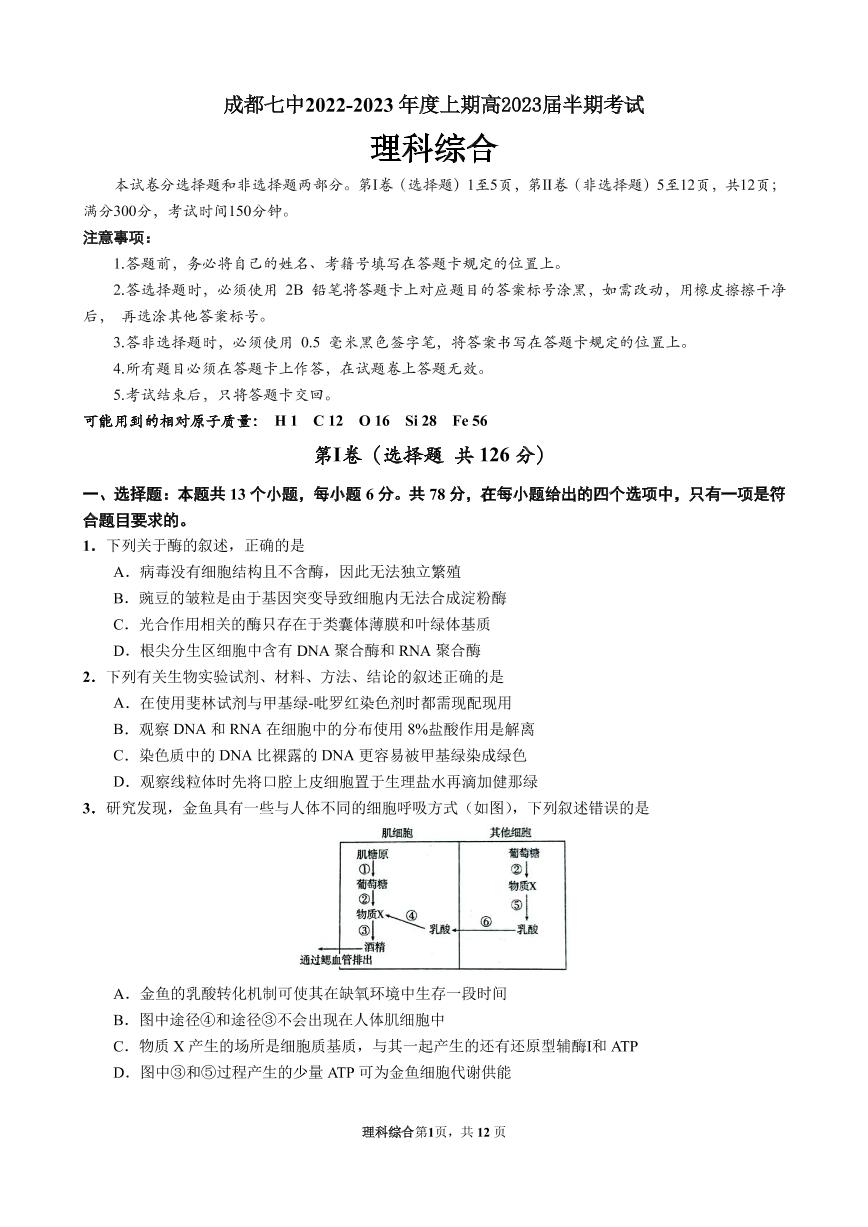 理综试卷四川省成都市第七中学2022-2023学年高三上学期期中考试