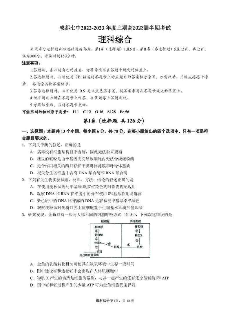 理综试卷四川省成都市第七中学2022-2023学年高三上学期期中考试01