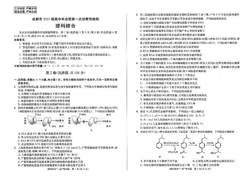 2023成都高三上学期1月第一次诊断性考试理综PDF版含答案01