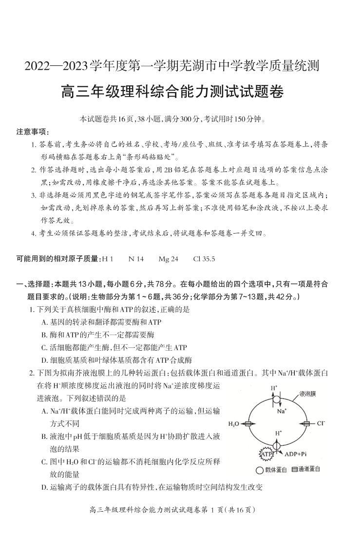 2023芜湖高三上学期期末教学质量统测理综PDF版含答案（可编辑）01