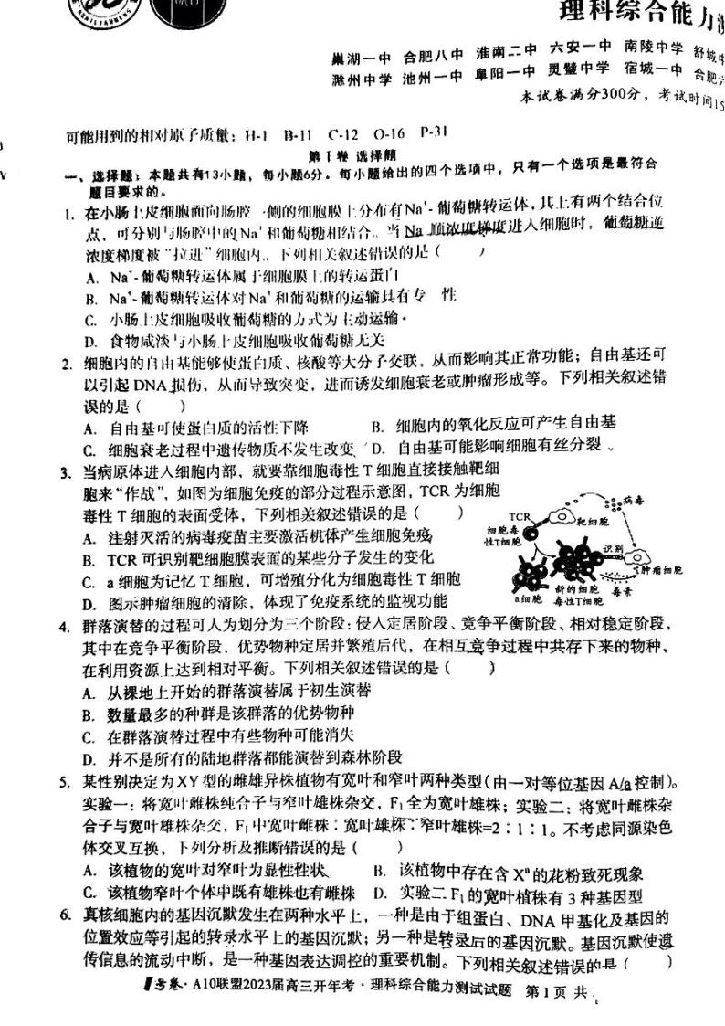 2022-2023学年安徽省A10联盟高三下学期开学考试 理综 PDF版含答案01