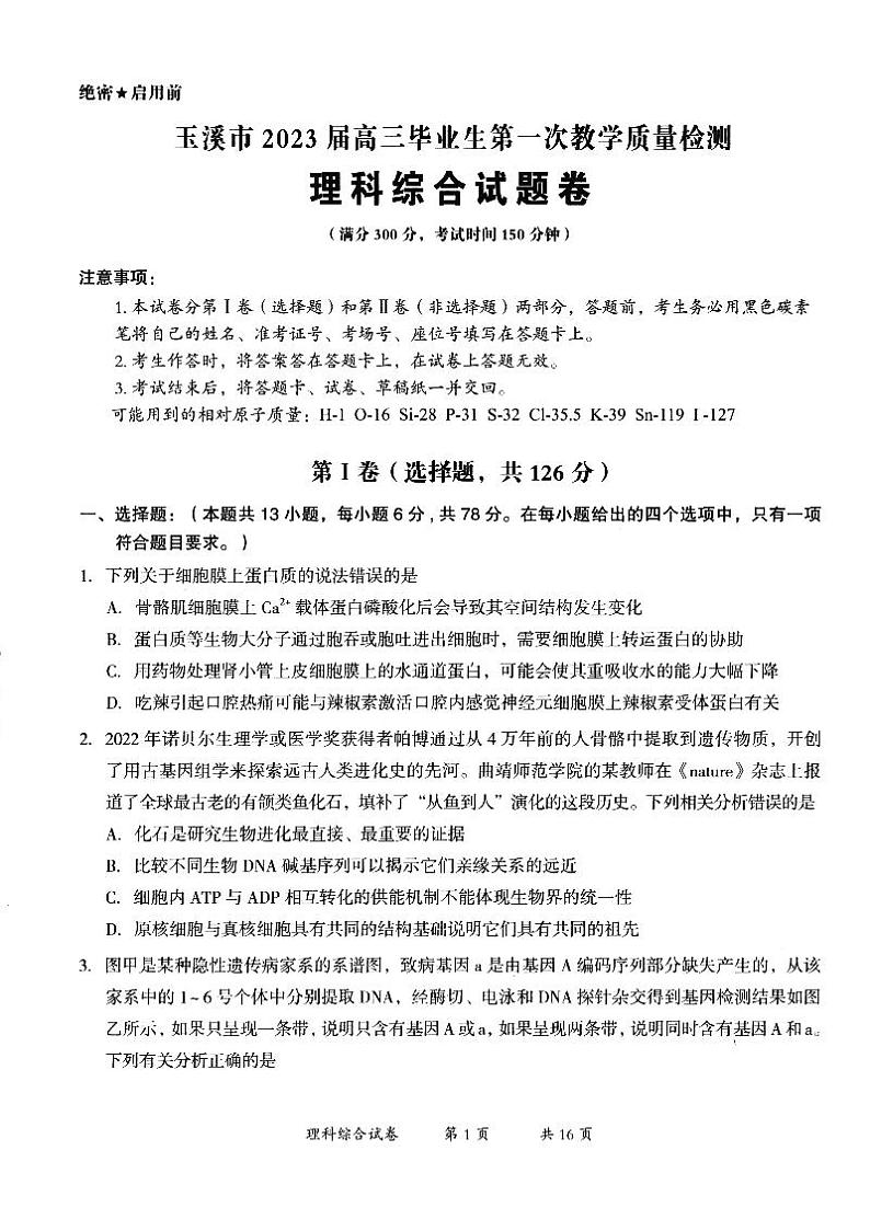 2023届云南省玉溪市高三毕业生第一次教学质量检测理科综合01
