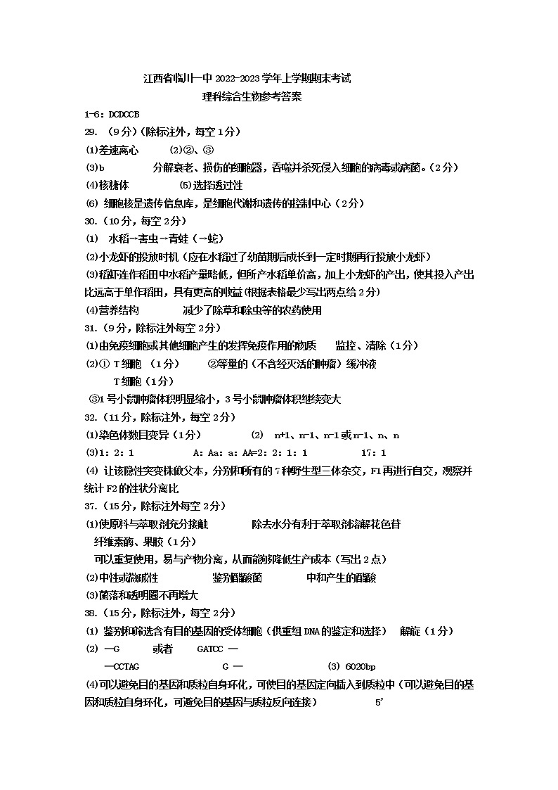 2022-2023学年江西省临川第一中学高三上学期期末考试理综试卷 PDF版01