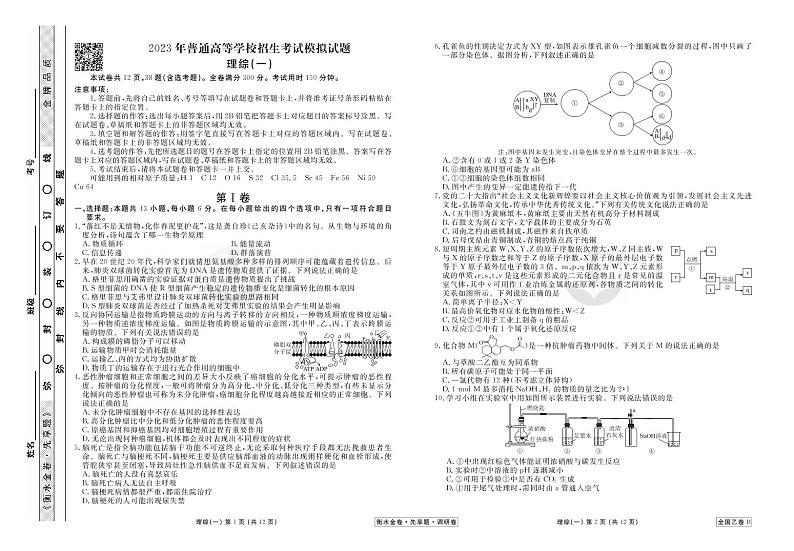 衡水金卷 先享题 2023调研卷(全国乙卷B)理综试卷第1页