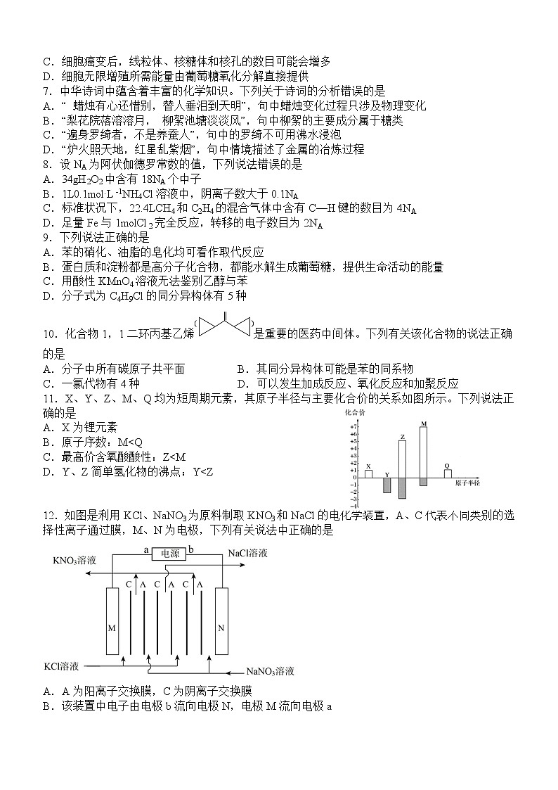 2023泸州泸县四中高三二诊模拟考试理综试题含答案02