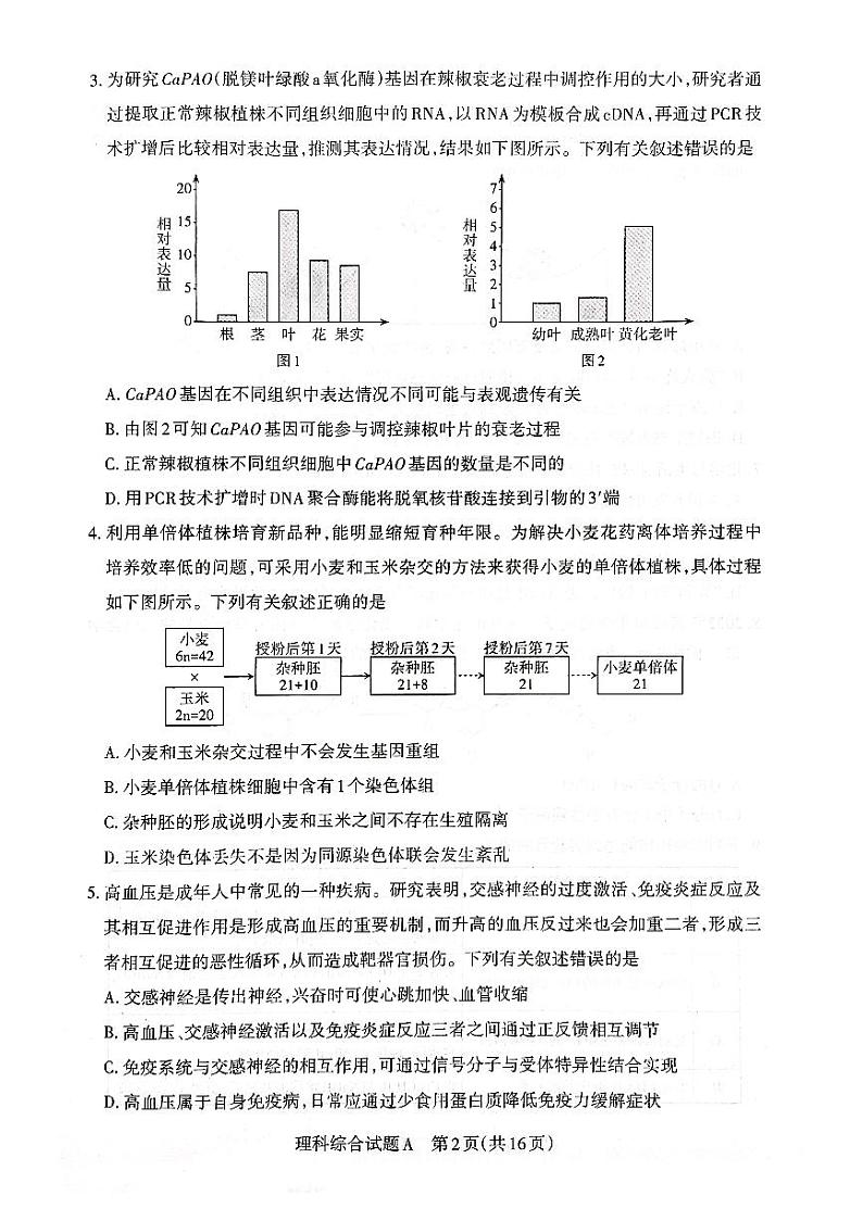 2023年山西省高考第一次模拟考试 理综试题及答案02
