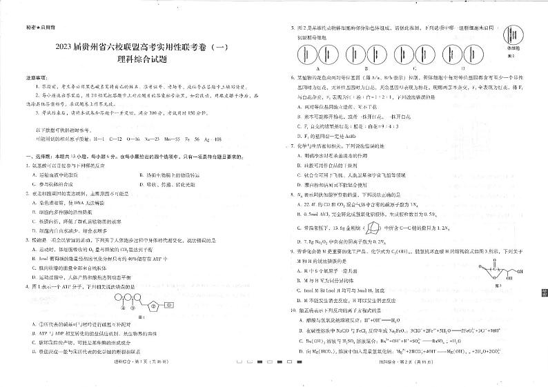 2023届贵州省六校联盟高三上学期高考实用性联考(一)理综试题(PDF版)第1页