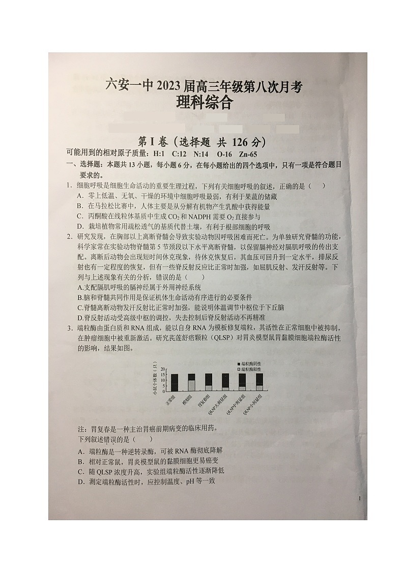 安徽省六安第一中学2022-2023学年高三下学期第八次月考试题理综试题及答案第1页