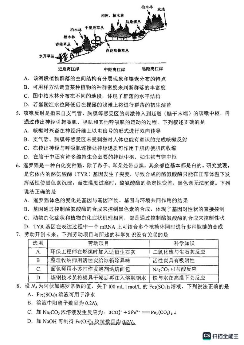 2023届四川省南充市高三下学期高考适应性考试（二诊）理科综合试题02