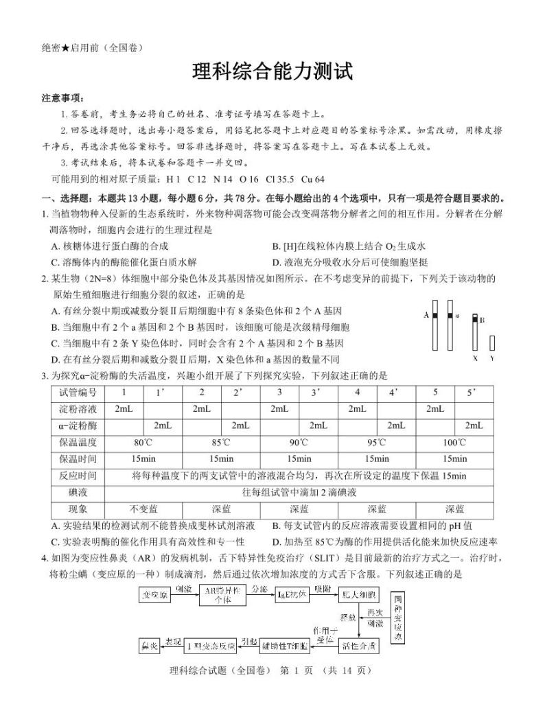 【全国卷】名校教研联盟2023届高三联考（三）理综01