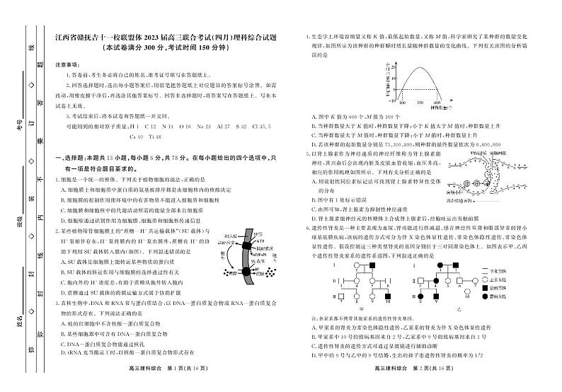 江西省赣抚吉十一校联盟体2023届高三4月联考 理综第1页