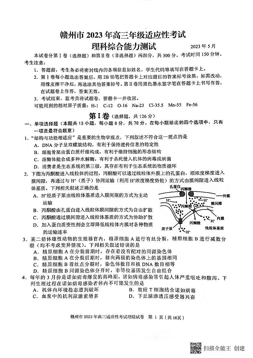 2023屆江西省贛州市高三第二次模擬考試 理綜第1頁(yè)